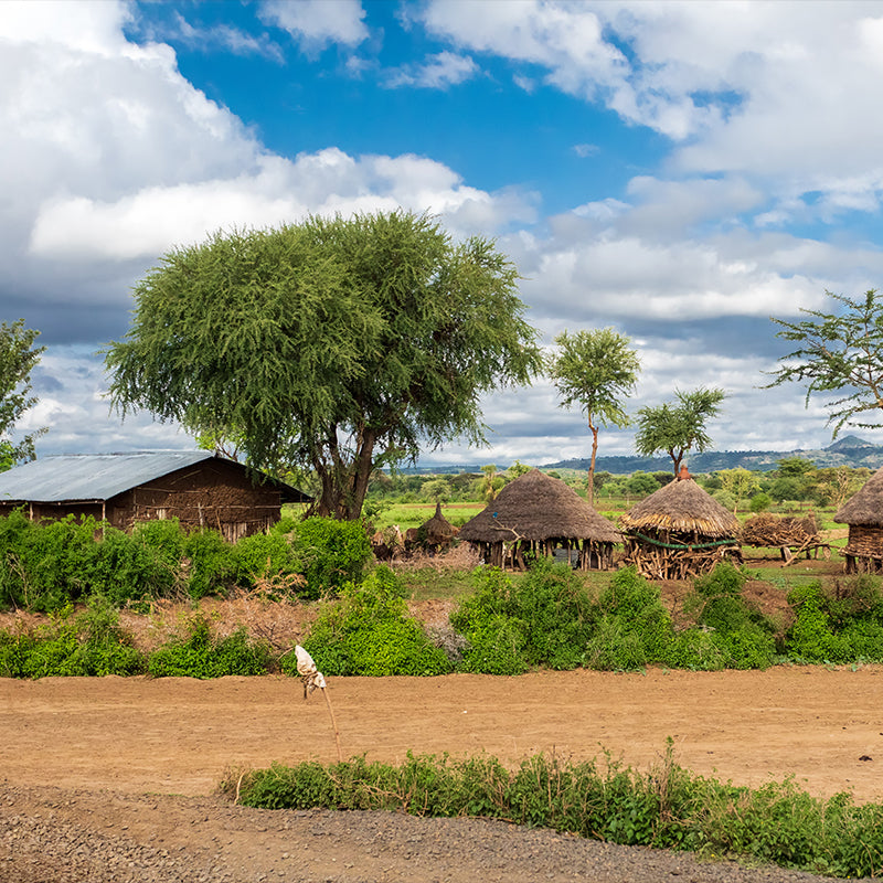 village in Ethiopia