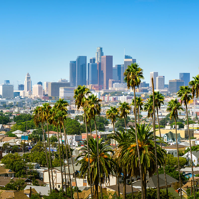 Los Angeles Skyscrapper