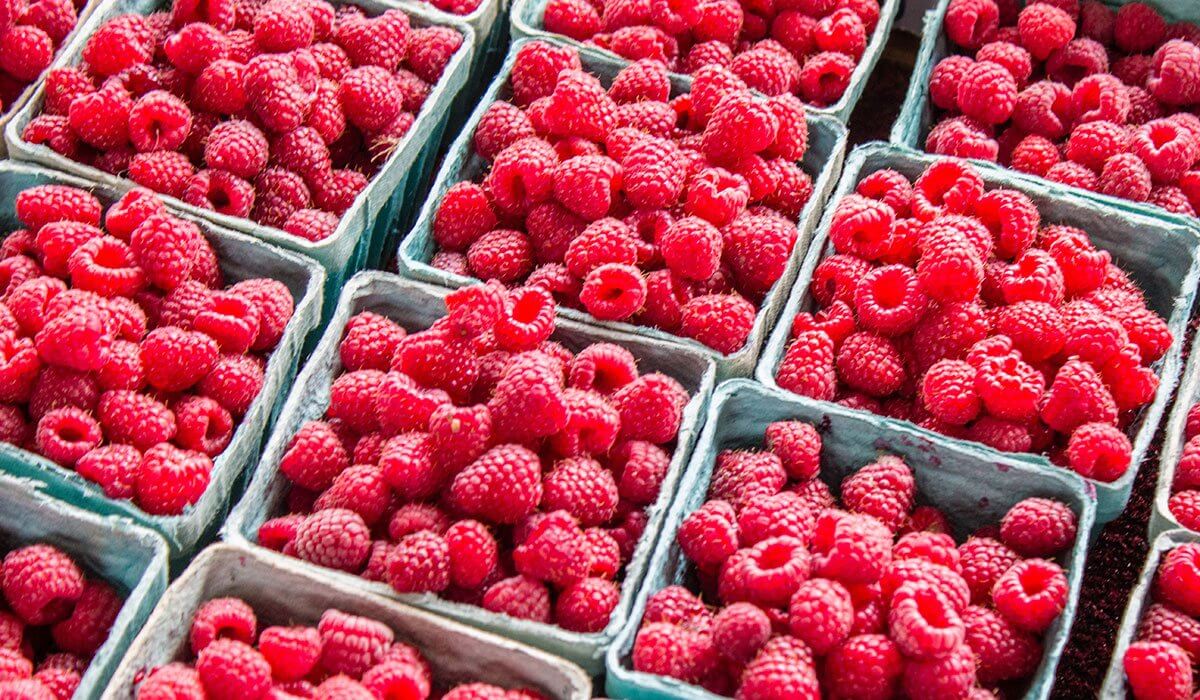 Zoomed image of baskets full of Raspberries