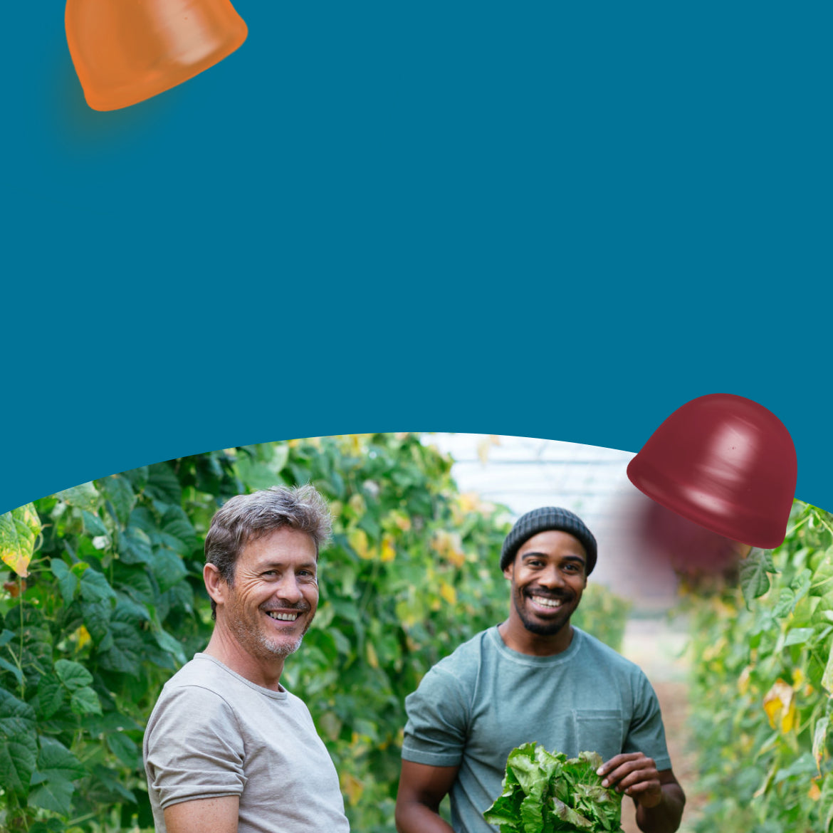 two men in a greenhouse