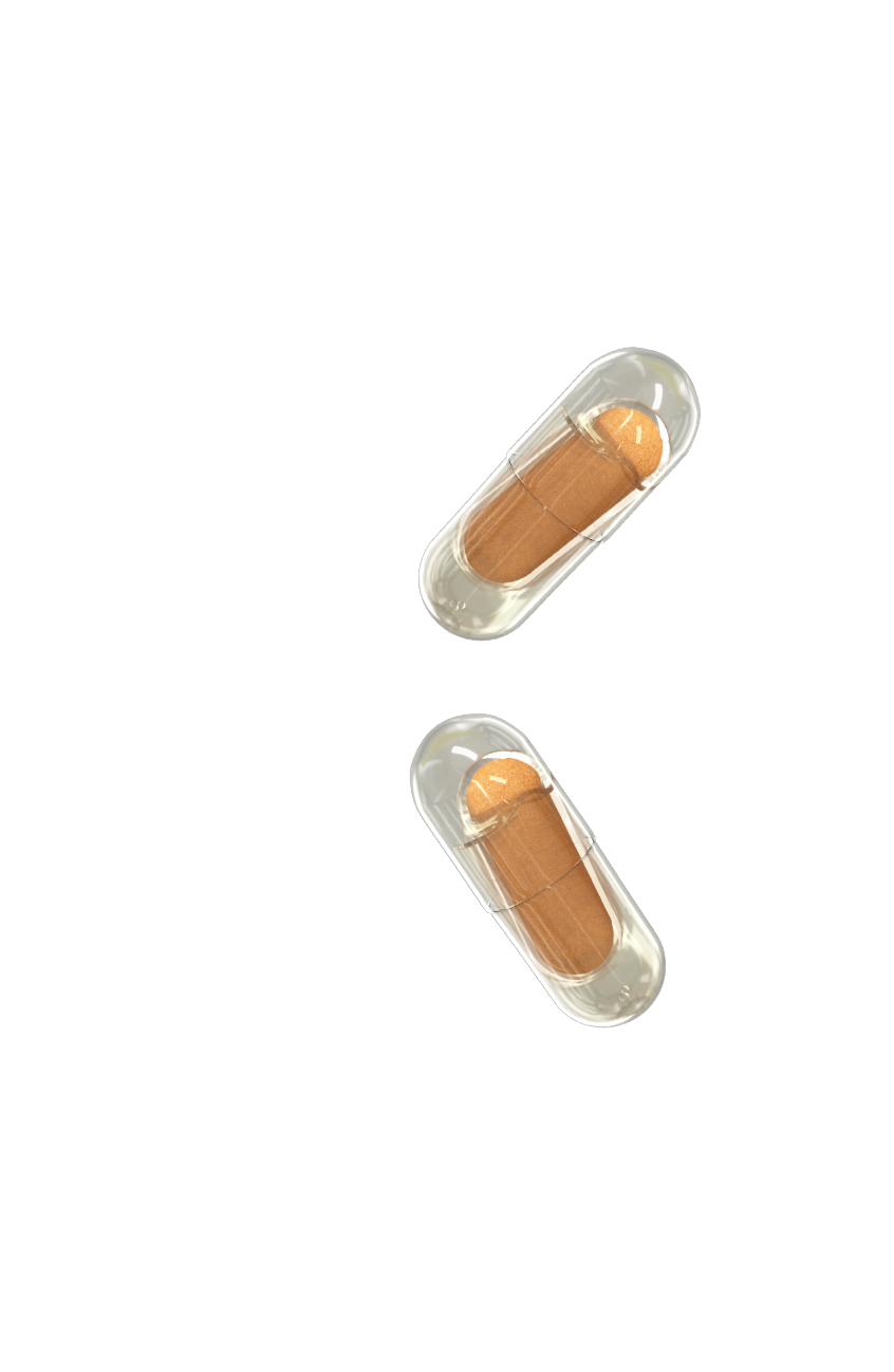 Prenatal Multivitamin Choline, Folate, DHA Capsules capsules