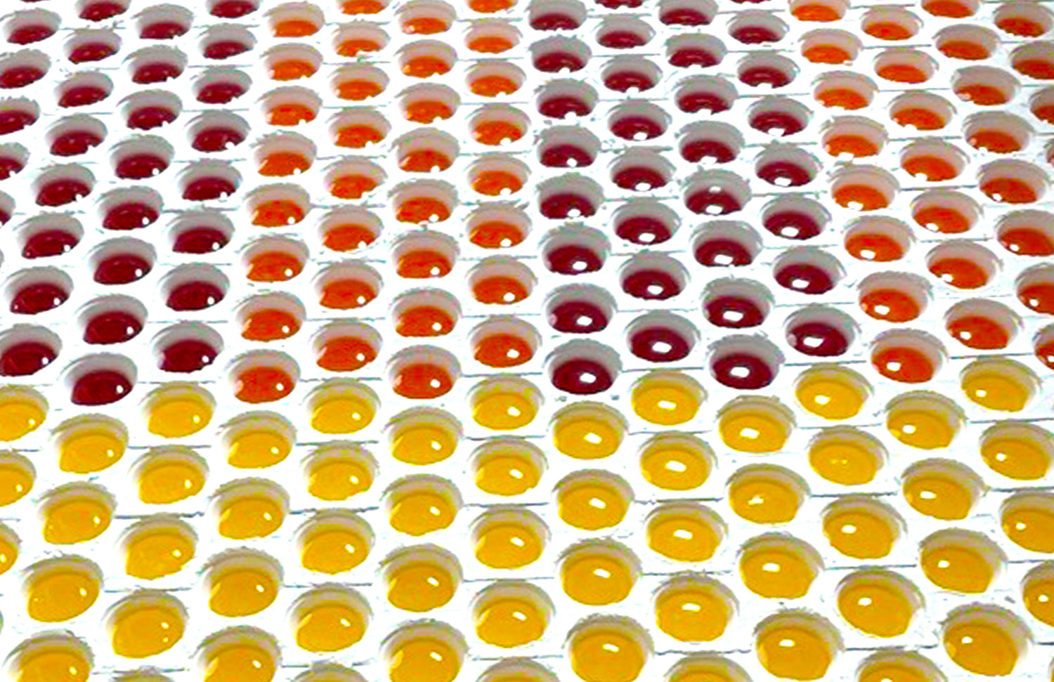 Gummies in red, orange, and yellow on a white background